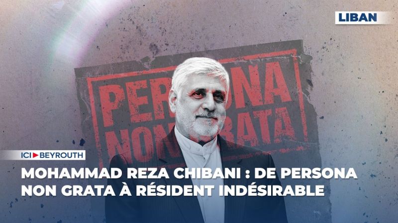 Mohammad Reza Chibani : de persona non grata à résident indésirable