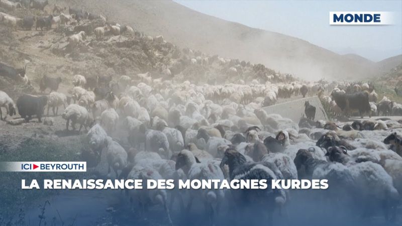 La renaissance des montagnes kurdes