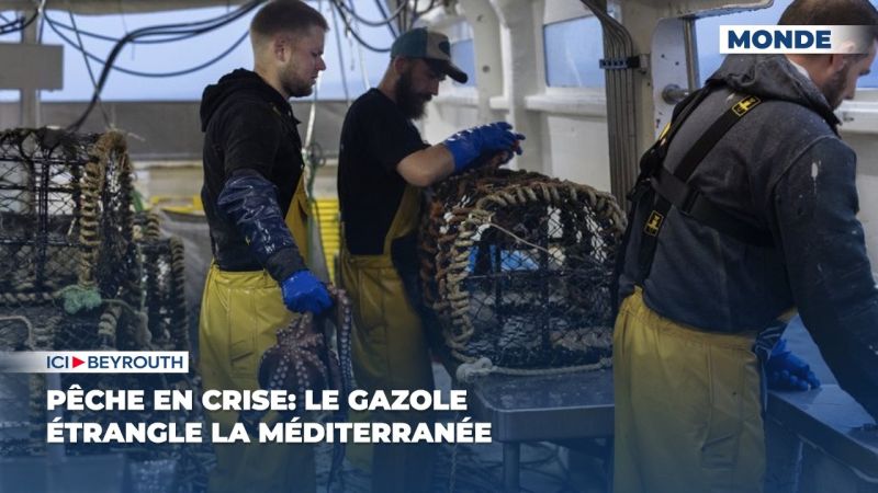Pêche en crise: le gazole étrangle la Méditerranée