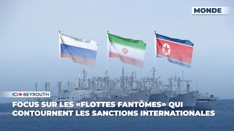 Focus sur les «flottes fantômes» qui contournent les sanctions internationales 