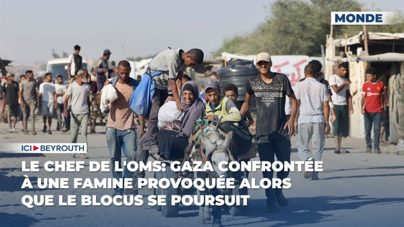 Le chef de l'OMS: Gaza confrontée à une famine provoquée alors que le blocus se poursuit