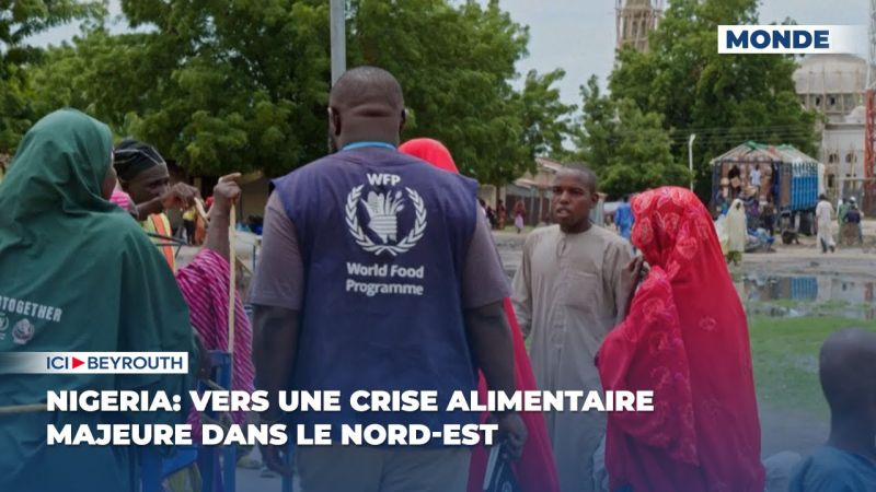 Nigeria: vers une crise alimentaire majeure dans le nord-est
