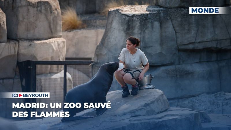 Madrid: un zoo sauvé des flammes
