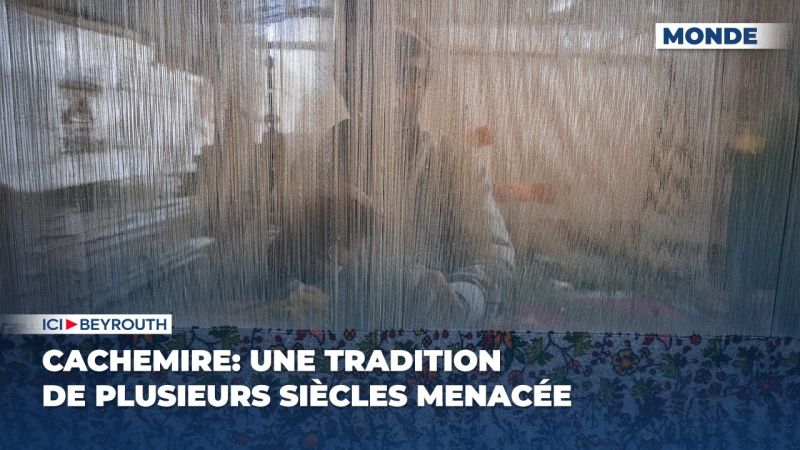 Cachemire : une tradition de plusieurs siècles menacée