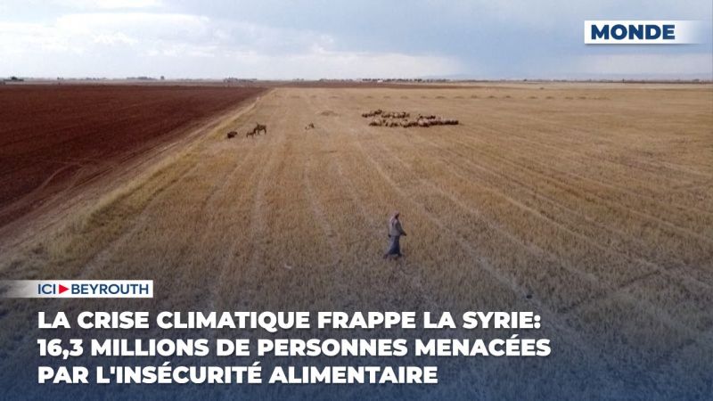La crise climatique frappe la Syrie: 16,3 millions de personnes menacées par l'insécurité alimentaire
