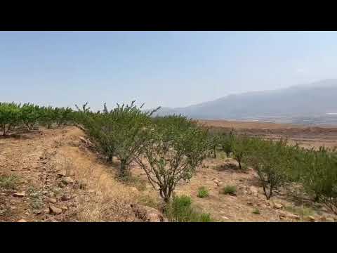 Survivre en zone rouge, les agriculteurs du Liban-Sud entre peur et résilience