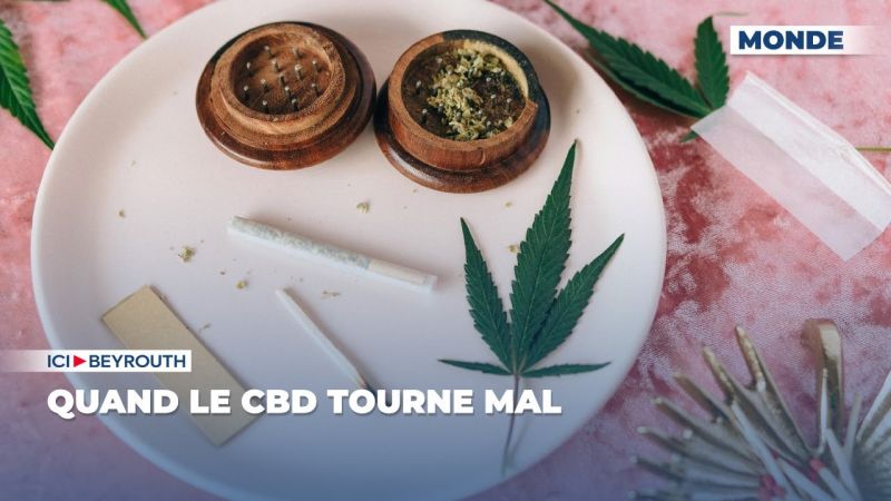  Quand le CBD tourne mal 