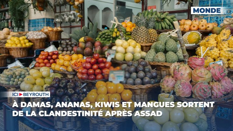 À Damas, ananas, kiwis et mangues sortent de la clandestinité après Assad