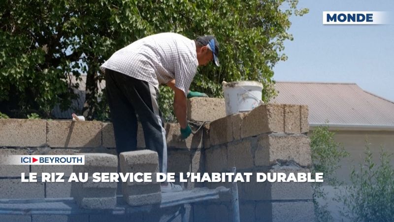 Le riz au service de l’habitat durable 
