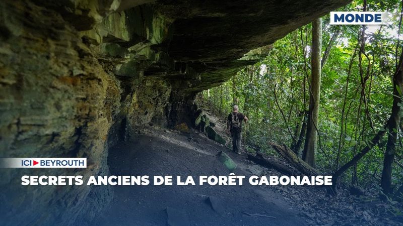 Secrets anciens de la forêt gabonaise